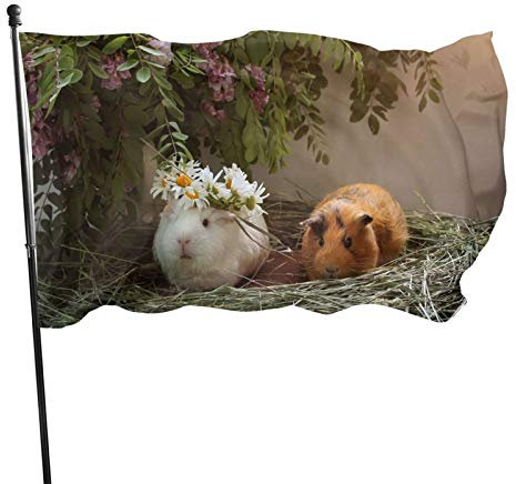 Drapeau décoratif d'extérieur de 0,9 x 1,5 m, grand drapeau de jardin, cochons d'Inde, lilas, paille lilas, drapeau amusant de couleur vive, drapeau coupe-vent en polyester pour décoration intérieure