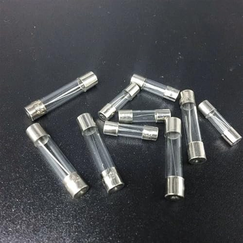 CAAUYXZW 100/72 Stück Auto-Flink-Glassicherungen, Auto-Glasrohrsicherungen, 0,2–20 A, 0,5–30 A, sortiertes Kit for Auto-Licht-Inflator-Staubsauger(100pcs)