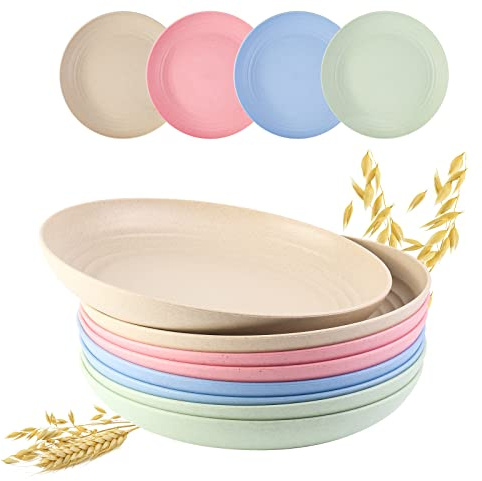 Happybase 10 inch Speiseteller, 8 St¨¹ck Gro? Unzerbrechliches Teller Wiederverwendbar Platten Set, Leichte Picknickteller Campingteller f¨¹r Salat Pasta Party