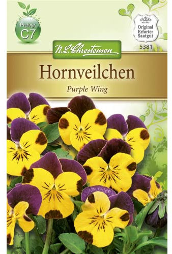 Chrestensen Hornveilchen 'Purple Wing' Viola cornuta