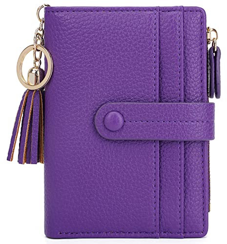 HKCLUF Geldbörse Damen Kleine, Geldbeutel Frauen Leder, RFID Portemonnaie Brieftasche Münzfach mit Quaste Damengeldbörsen Reißverschluss Viele Fächer(B09-Lila)