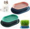 Asfrode Lot de 2 bacs à plantes pour herbe à chat - Plateau pour herbe à chat - Vert