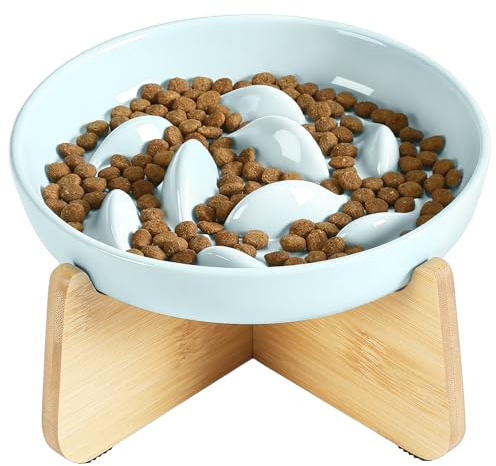 PETTOM Gamelle Anti Glouton Chat Céramique Surélevée | Bambou Support, Anti Vomissements, Manger Lentement, Aliment Sec Humide (Vert, Baleine)