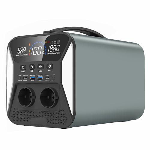 Ctolity 1000 Wattora Centrale Elettrica Portatile Campeggio Generatore di Corrente Power Bank con Presa CA 1000W Max 220V CA Torcia LED per CPAP Casa Emergenza Backup