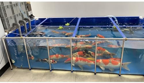 Acquario stagno grande cortile acquario piscina stagno con pannello trasparente di visualizzazione, tela in PVC con telaio in acciaio e valvola di scarico, grande capacità serbatoio d'acqua di