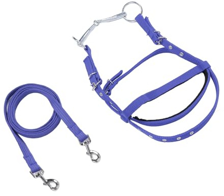 Hamwesh Brida para Caballo, Rienda Ajustable de Nailon para Caballo, Equipo Ecuestre con Cuerdas Elásticas para Mayor Control y Comodidad, Compatible con la Mayoría de los Caballos en Actividades de