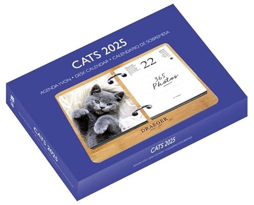 DRAEGER PARIS - Coffret éphéméride Agenda Yvon 2025-7 langues - 365 feuillets et socle en bambou réutilisable - 1 photo pour chaque jour de l'année - Chats - Support prise de rendez-vous