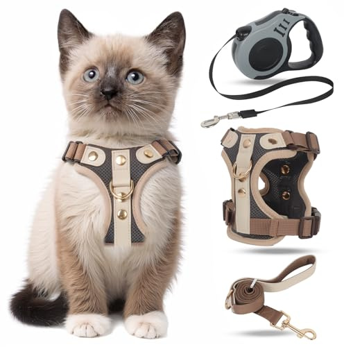 Harnais pour Chat avec Laisse Enrouleur, Anti-éclatement Harnais Chaton et 5m Laisse Chat Rétractables Kit, Réglable Filet Respirant Harnet pour Chaton, Chiot