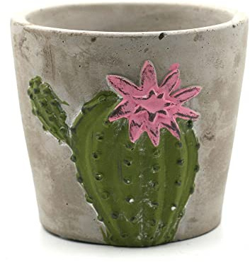 Cache Pot Cactus - Modèle 2
