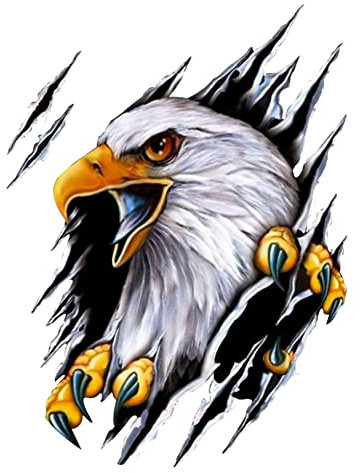 Uposao Bil 3D-klistermärken, 2 stycken reflekterande bilklistermärken bil karossdekor självhäftande bil motorhuv klistermärken vattentäta gör-det-själv klistermärken bil styling dekoration klistermärken, örn