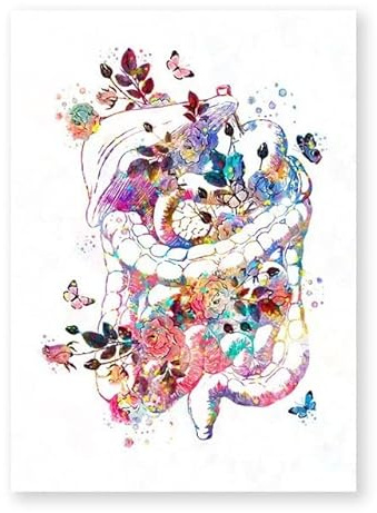Supkancl Cuore Umano Stampa Organo Anatomia Tela Pittura Medicina Poster anatomico Vintage Acquarello Immagini di Fiori Clinic Deco(4,21x30cm Canvas)