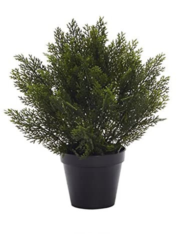 SMPLY. - Planta Artificial de Seto Tuya - Altura: 50 cm- De Plástico -Decoración Ideal en el Interior y Exterior de Casa