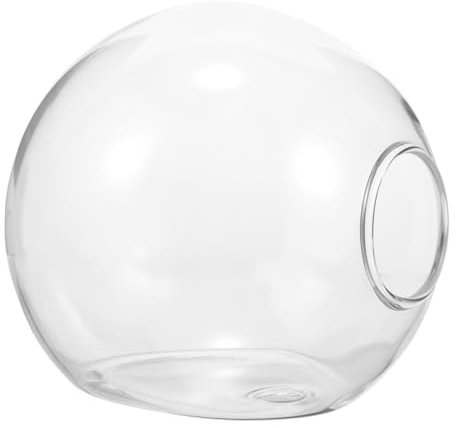 KONTONTY Hängende Hydrokulturvase Glas Wandbehang Für Heimdekor Blumenhalter Für Hydroponische Anzucht Blumenarrangements Für Haus