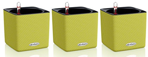 Lechuza Cube Color 14 Pflanzgefäß mit ERD-Bewässerungs-System, Limettengrün, 14 x 14 x 14 cm, 3er-Set
