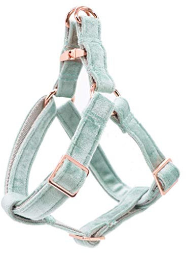 ARING PET Hunde-Halftergeschirr, Samt-Hundegeschirr, kein Ziehen, Hundehalftergeschirr, verstellbar, strapazierfähig, für kleine, mittelgroße und große Hunde