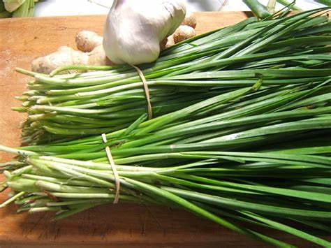 Garlic Chives (500+ Seed Pack) - COOL BEANS N SPROUTS Brand - Non-GMO - Home Gardening