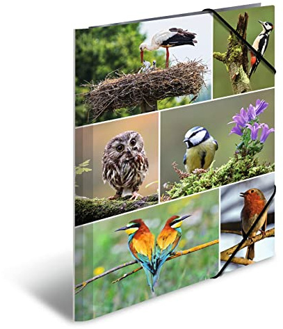 HERMA Sammelmappen A4 Vögel Set, 3 Stück, Kinder Eckspanner-Mappen aus Pappe mit Tier Motiv, Gummizug, Innenklappen und Innendruck für Jungen und Mädchen