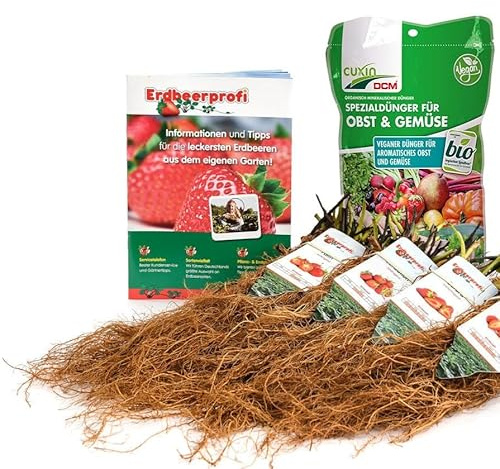 Bio Erdbeerpflanzen Anbau-Set: 20 Junitragende biologische Erdbeerpflanzen inkl. Bio Dünger - Sorten: Verdi, Falco, Sonsation, Malwina -Frigo- Erdbeeren von Erdbeerprofi.de
