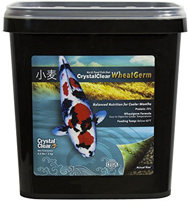 CrystalClear WheatGerm Fish Food—Protein-Rich Floating Pellets for Cold Freshwater Ponds, Ideal in Cooler Spring & Fall Seasons - 4.4 Pound Bucket