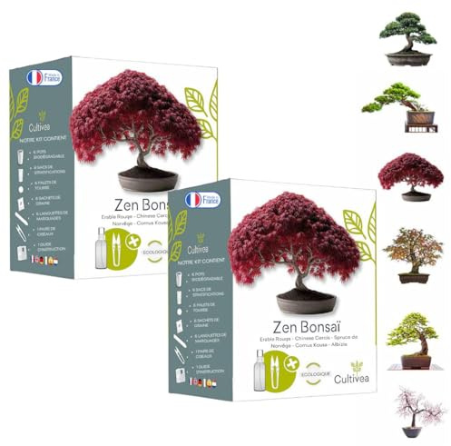 CULTIVEA uppsättning med 2 Bonsai redo att odla kit - 100 % ekologiska franska frön - trädgård och dekorera - presentidé (röd tomte, kinesisk cercis, Juniperus, Liquidambar, Norway Gran) - tillverkad