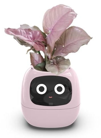 Buhdjfnke Maceta Inteligente Ivy, Maceta Pequeña Recargable por USB para Decoración de Interiores, Hace Que Cultivar Plantas Sea Fácil y Divertido, Color Rosa