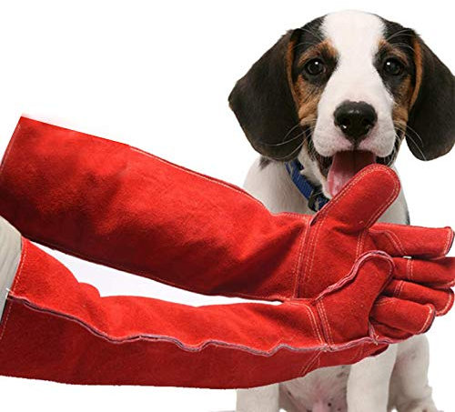 Tierbehandlung Handschuhe Biss Proof 23.6Inch, Scratch/Bissbeständige Schutzhandschuhe, Atmungsaktiv Futter Für Hund Katze Vogel Snake Parrot Lizard Wild Animals-Schutzhandschuhe, Rot