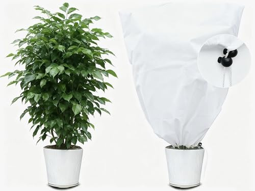 MYOWELL Winterschutz für Pflanzen - 60x80cm Frostschutz Kübelpflanzensack, Lichtdurchlässig und Atmungsaktiv Winterschutz für Kübelpflanzen für Palmen, Olivenbaum, Obstbäume (Weiß, mit Zugband)