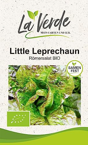 Little Leprechaun BIO Salatsamen