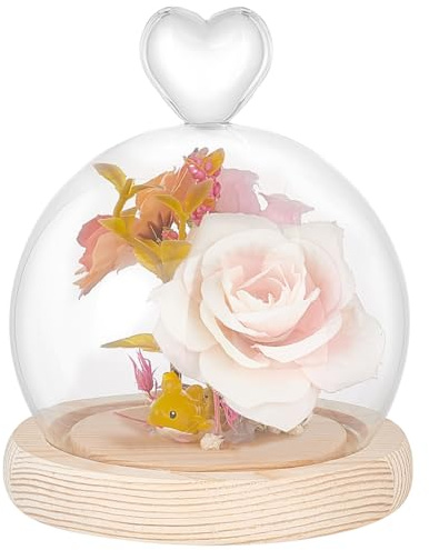 PH PandaHall Glass Display Dome Cloche with Wood Base, Heart Glass Dome Cover Decorative Jars Display Case Cloche Bell Jar Terrarium for Christmas Flower Storage Home Party Favor Decoration