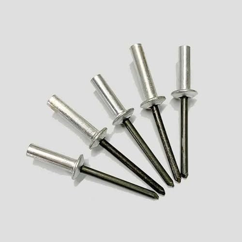 10 Stück 4,8 mm 6,4 mm HD Rundkopf Aluminiumkappe Eisenkern Zugnieten Versiegelte Blindniete 8 mm-25 mm Länge Wasserdicht-4,8 mm x 16 mm x 9,5 mm