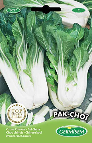 Germisem Pac-Choi EC3027 mehrfarbig
