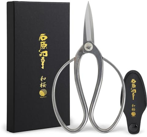 Wazakura Ciseaux à Bonsaï En Acier Inoxydable - Collection en Collaboration avec Ishihara Sensei