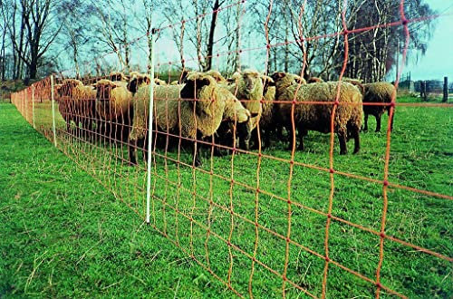 Euronetz Geflügelnetz extra Hoch - mit Doppelspitze