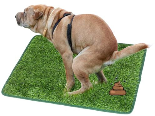 Hunderasen-Töpfchen, Kunstrasenteppich Rasen für Hunde, Training Pee Pads, für das Training Ihres Welpen Geeignet für den Innen- und Außenbereich (46 * 70 cm)