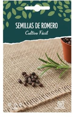 Jardinería Doméstica con Romero Aromático | Semillas Naturales DECOALIVE para Cultivo en Maceta
