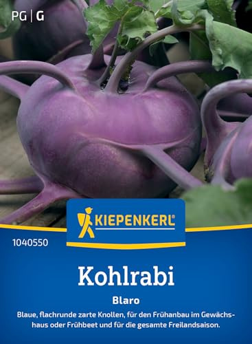 Kiepenkerl Kohlrabisamen Blaro 1040550, Gemüsesaat | Inhalt für 90 Pflanzen