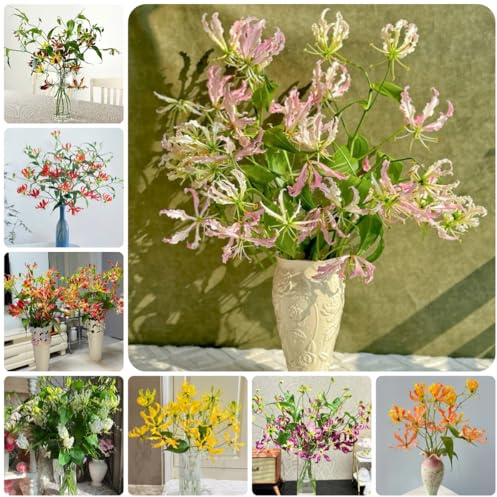4bulbos de lirio de llama - frescas, decorativas jardín perennes resistentes, otoño, primavera acónito invierno