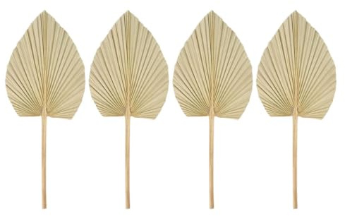 Toyvian 4 Piezas de Hojas de Palma Secas Naturales, Decoración de Pared para Bodas y Fiestas, Adorno Colgante para Decoración de Hogar y Eventos, Arreglo Floral de Hojas Secas