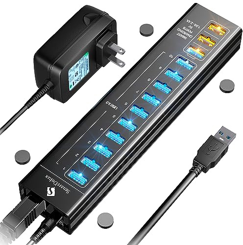 SmartDelux Powered USB Hub - USB 3.0 Ports Hub with 3 Smart Charging Ports, Power Adapter, Long Cord, LEDs (13-Port USB Hub)
