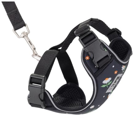 RC Pet Products Adventure Kitty Hundegeschirr, Katzengeschirr, groß, Gänseblümchen (53805347)