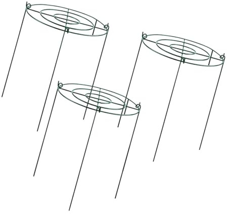 ＡＷＨＡＯ 3 pièces Cages de Pivoine et soutient Les Anneaux de Soutien des Plantes Treillis d'escalade en métal pour Plantes extérieures Flops Fleurs pivoines, Cercles