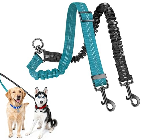 Guinzaglio doppio per 2 cani elastico, 1 pezzo guinzaglio doppio per 2 cani a 360°, Lais se Do uble pour 2 Chie ns Petit, Lais se Doub e pour 2 Chie ns, D ouble Lai sse per 2 cani, nero + blu lago.