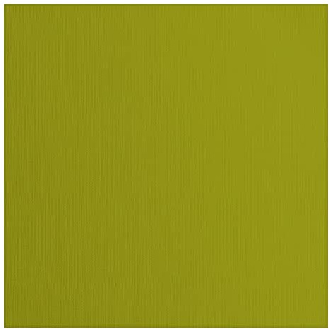 Vaessen Creative Florence Cardstock Papier, Grün, 216 Gramm/m², Quadratisch, 30,5 x 30,5 cm, 20 Stück, Textur, für Scrapbooking, Kartenherstellung, Stanzen und andere Papierbasteleien