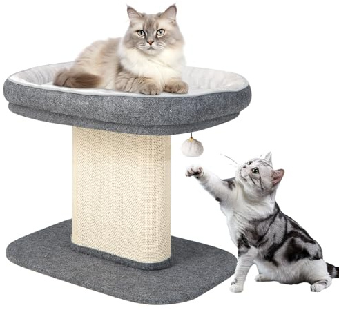 GYMAX Kratzbaum 50 cm hoch, Kletterbaum mit weicher Plüschsitzfläche, Katzenbaum mit Sisal-Kratzsäule & Ball, Katzenkratzbaum aus Holz, Aktivitätsbaum, kleine Katzenmöbel, Spielbaum (Grau)