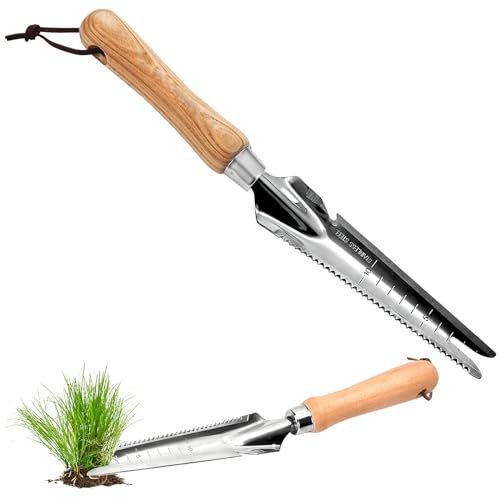Waldspring Unkrautstecher, Unkrautjäter mit Stiel, Unkraut Entferner Gerät, Fugenkratzer Unkraut, Unkraut Entferner, Fugenkratzer