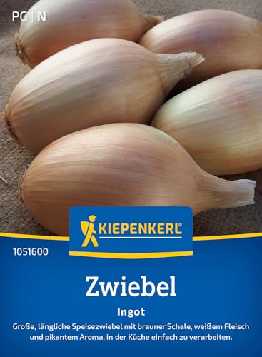 Kiepenkerl Zwiebelsamen Ingot 1051600, Gemüsesaat | Gemüsesamen für längliche Speisezwiebeln mit brauner Schale, Lagerfähig