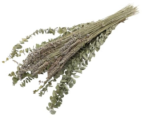 MAGICLULU Bouquet De Lavande Séchée Et Eucalyptus Décorations Naturelles pour Maison Fleurs Séchées pour Intérieur