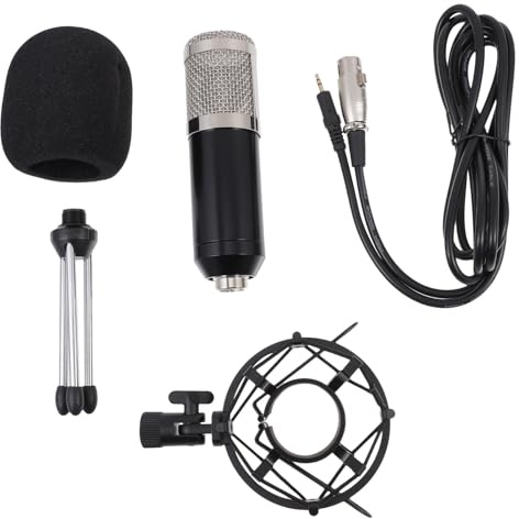 Ciieeo Kondensatormikrofon Satz 3, 5mm Kabel 48 V für Musikliebhaber | 1 Satz, Stahlgewebe und Zinklegierung, Aufnahmestudio und Online Karaoke, Schwarz Silbernes Gitter Zufällige Farbe