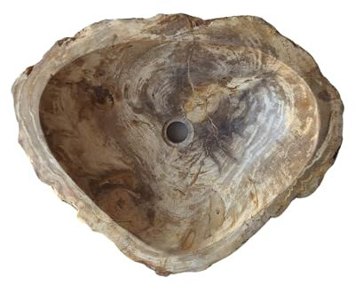Kalu creations - Waschbecken aus Fossilholz, Handwaschbecken aus Fossilstein, Aufsatzwaschbecken für Bad und Küche, Naturstein Waschschale 53 x 42 x 15 cm - Dunkelbeige