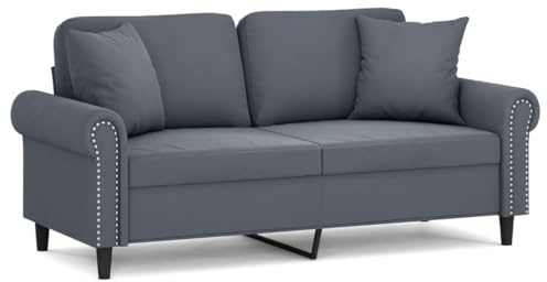 Emmtore Sofá de 2 plazas con Cojines Terciopelo Gris Oscuro 140 cm
